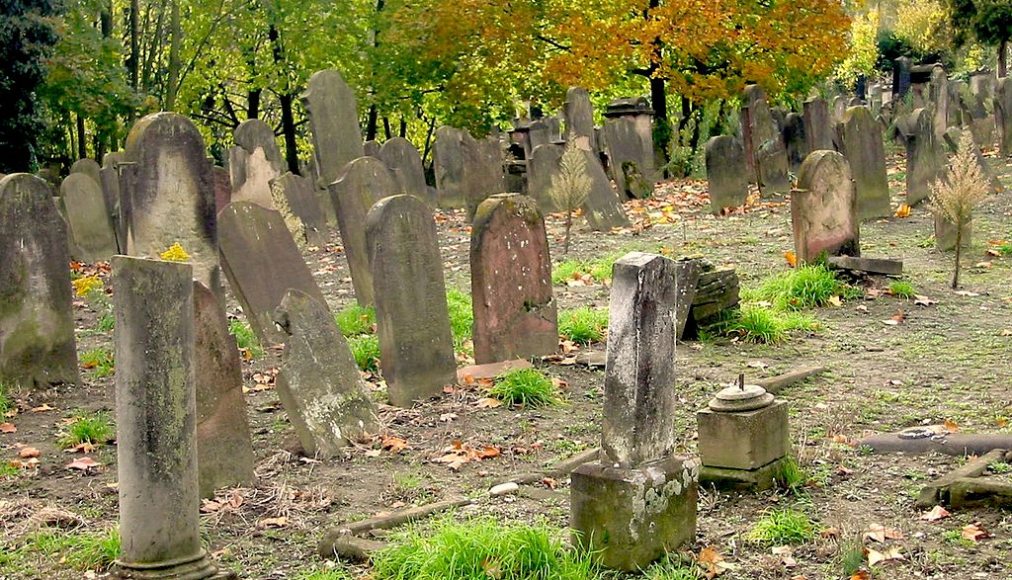 Cimetière juif de Koenigshoffen, Strasbourg Cimetière juif de Koenigshoffen, Strasbourg / ©Micharthur 007, CC BY-SA 3.0 Wikimedia Commons