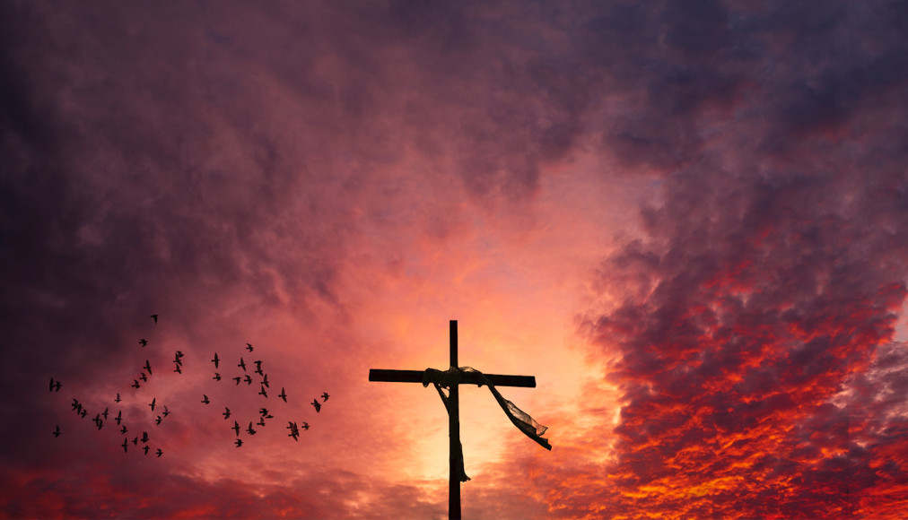 Sarah Stewart-Kroeker propose une relecture de la mort du Christ et de sa résurrection en lien avec les enjeux écologiques actuels. Sarah Stewart-Kroeker propose une relecture de la mort du Christ et de sa résurrection en lien avec les enjeux écologiques actuels. / IStock