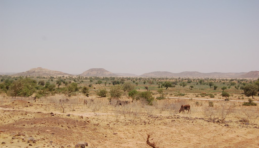 Les premiers déradicalisés de Boko Haram au Niger Les premiers déradicalisés de Boko Haram au Niger / ©Wikimedia Commons/Roland Hunziker/CC BY-SA 2.0
