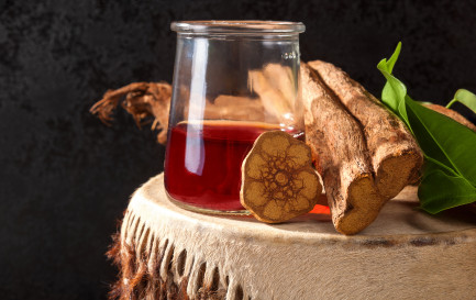 L’Ayahuasca, porte du paradis ou de l’enfer? / ©iStock